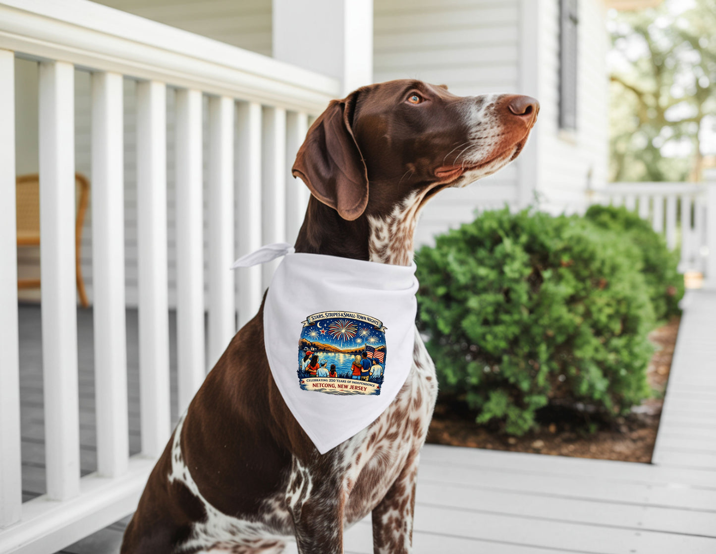 Stars, Stripes & Small Town Nights Pet Bandana